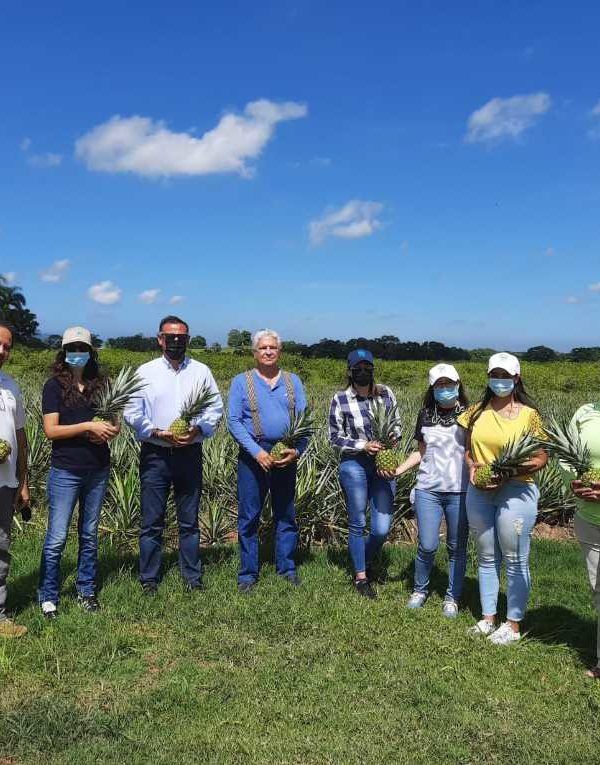 agrocolor caribe