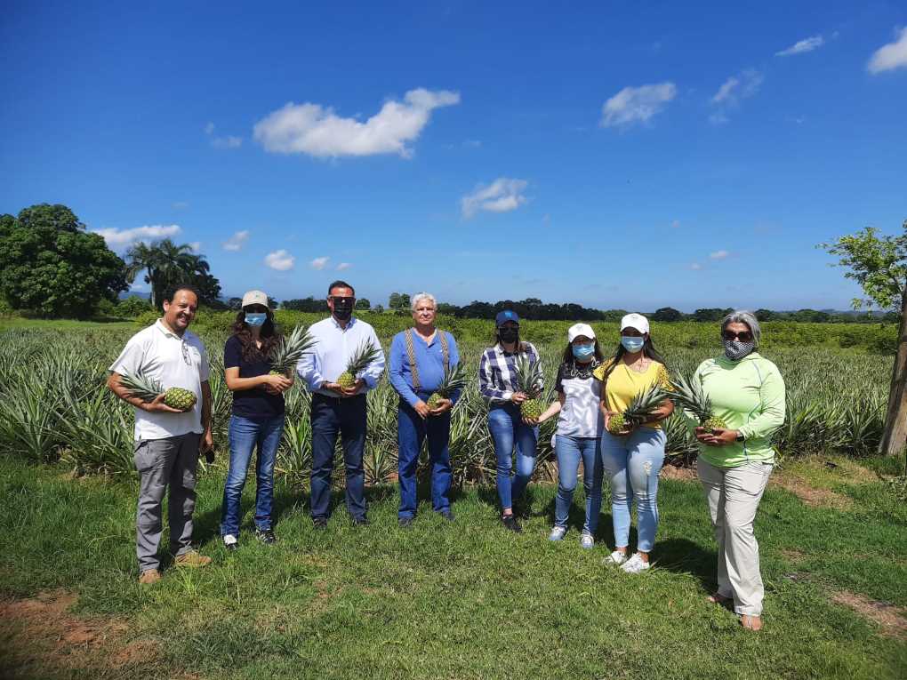 agrocolor caribe