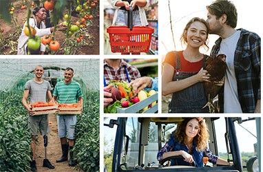 cadena alimentaria
