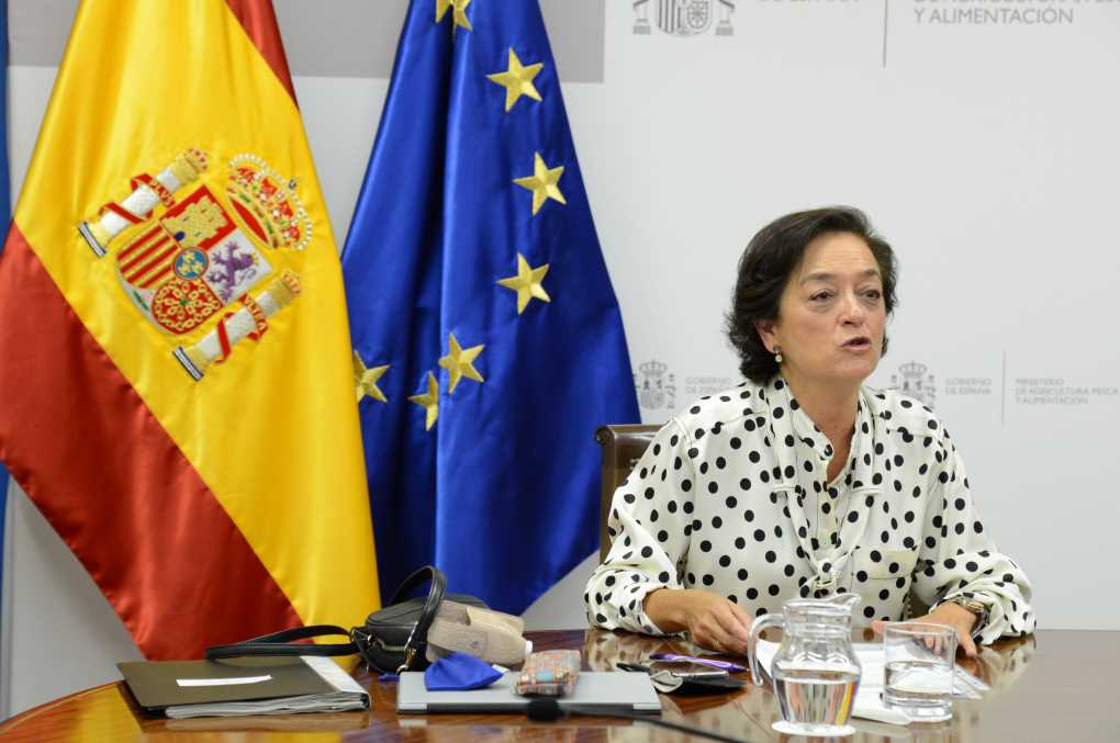 esperanza orellana