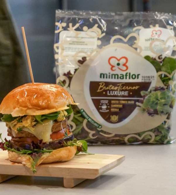 hamburguesa
