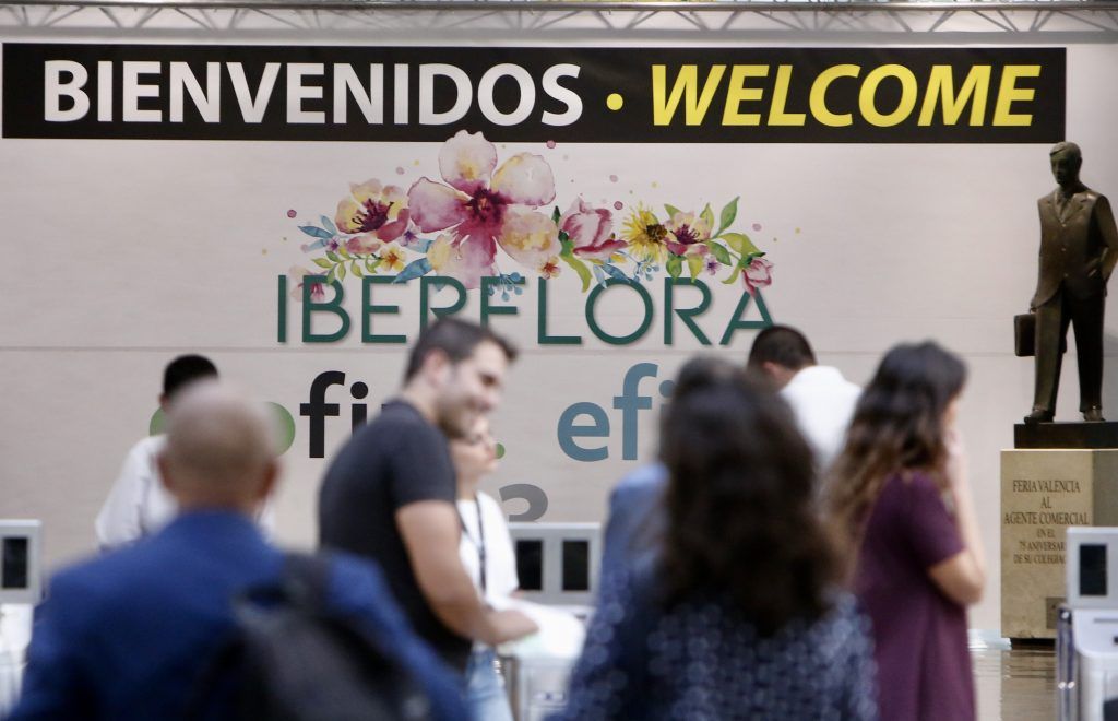 iberflora
