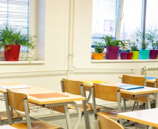 plantas en aulas