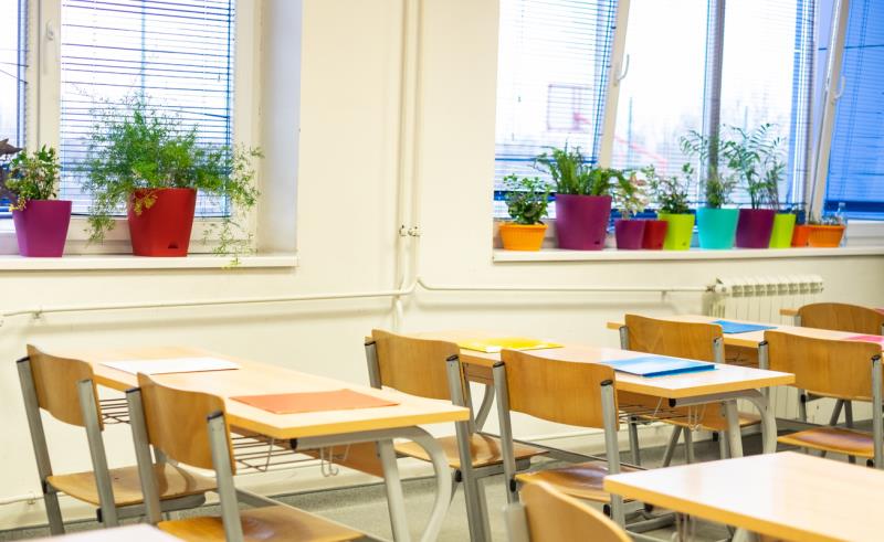 plantas en aulas