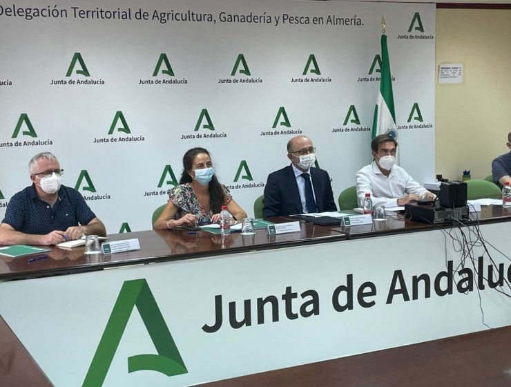reunión junta de andalucia cb