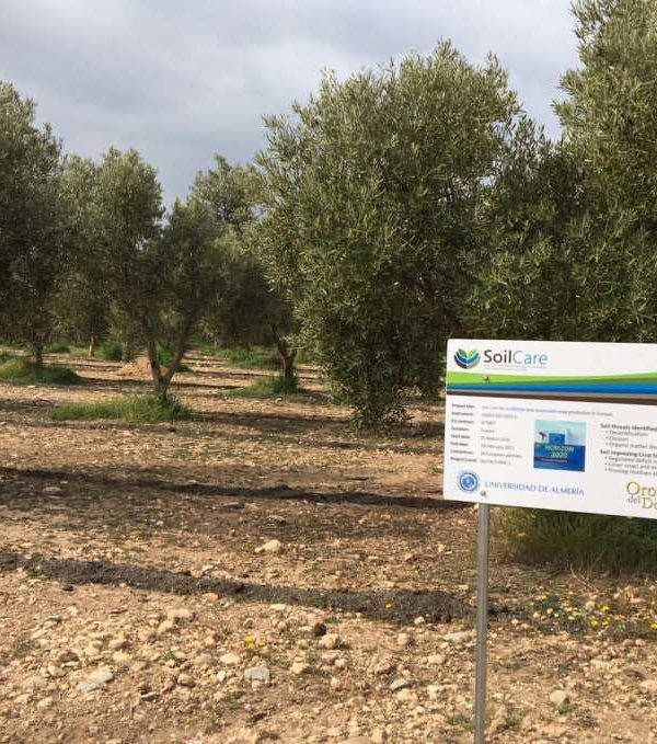 Proyecto SoilCare