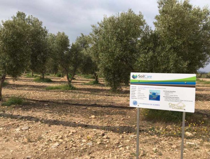 Proyecto SoilCare