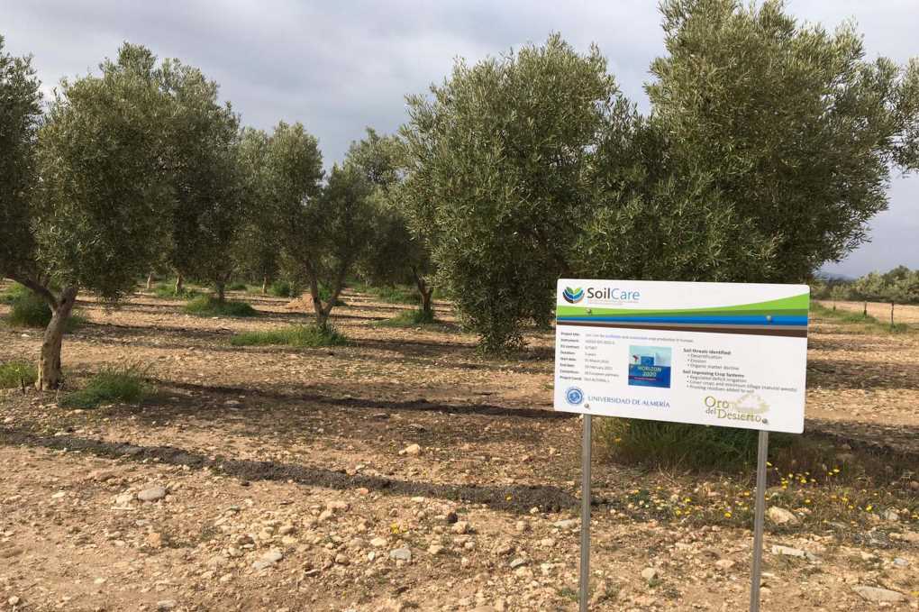 Proyecto SoilCare
