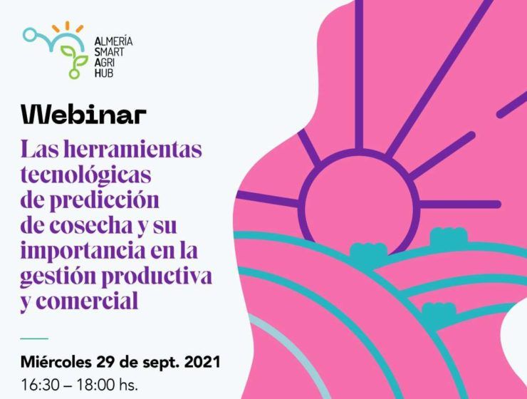 webinar smart