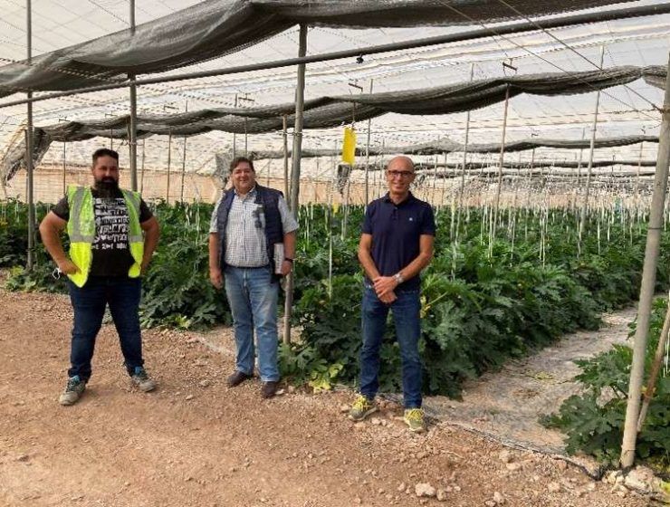 AGROPONIENTE
