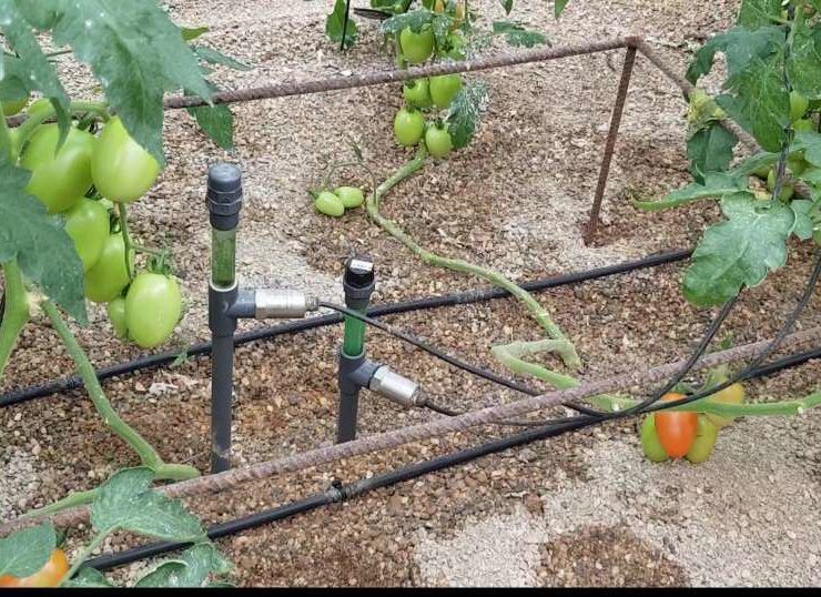 AHORRO DE AGUA