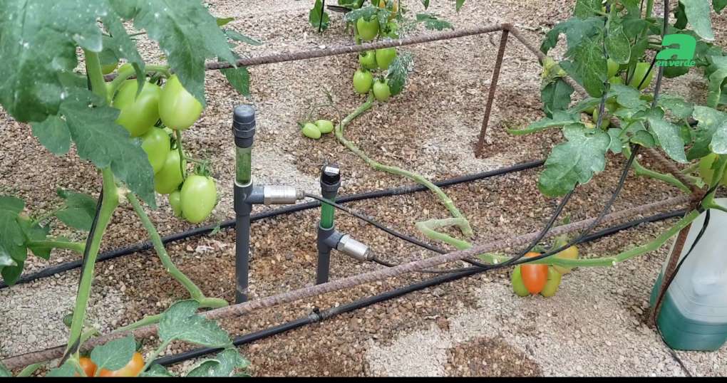 AHORRO DE AGUA