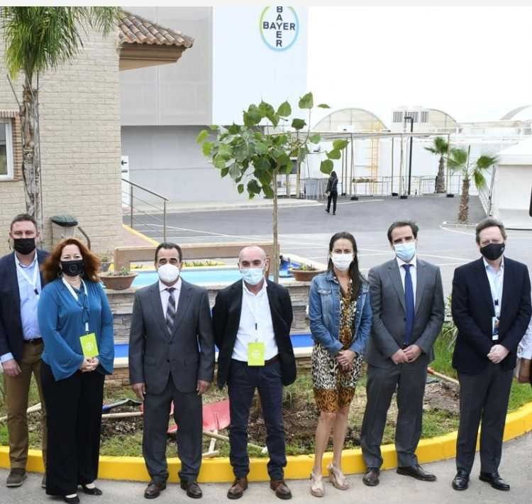 Bayer San Nicolás