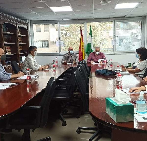 Comisión IDEA Almería