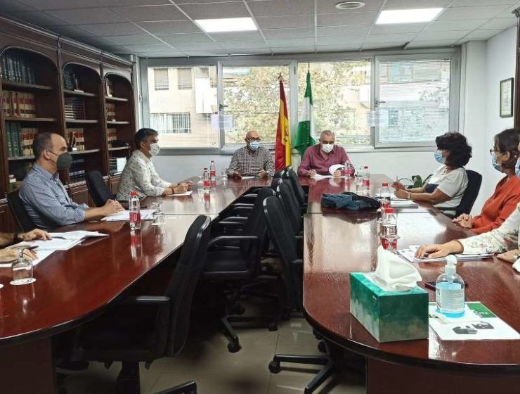 Comisión IDEA Almería