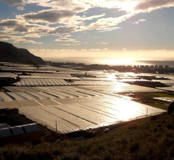 INVERNADEROS SOLARES