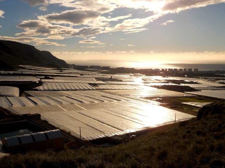 INVERNADEROS SOLARES