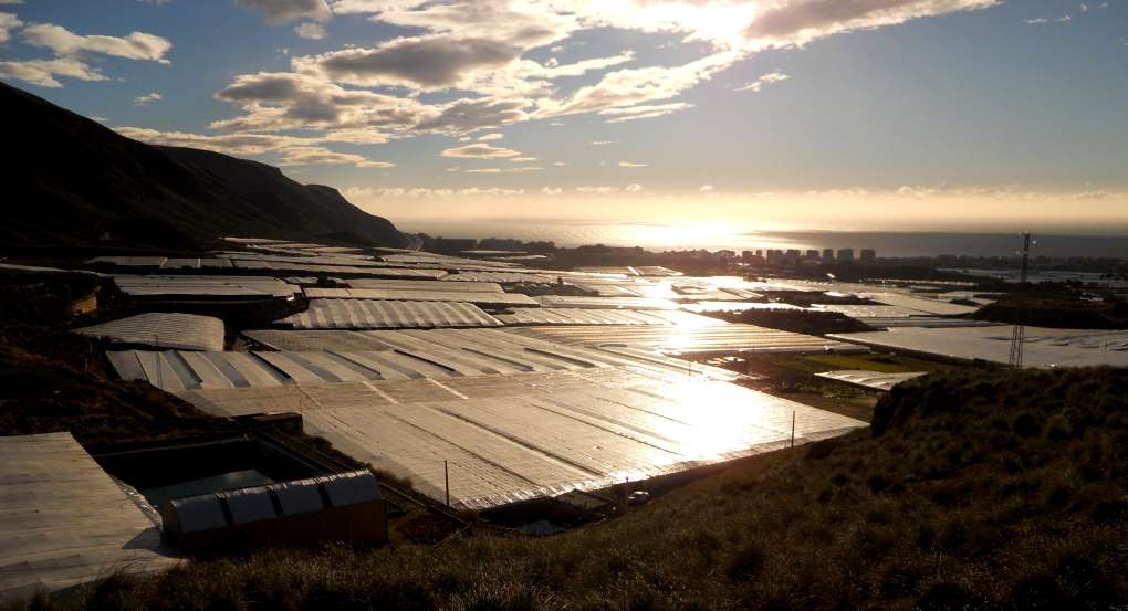 INVERNADEROS SOLARES