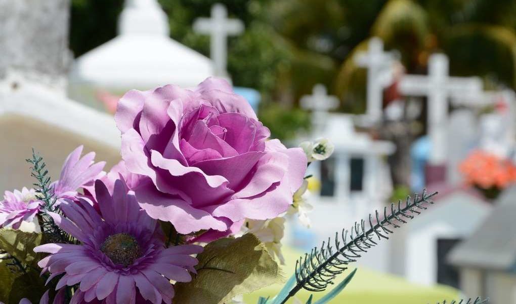 cementerio flores