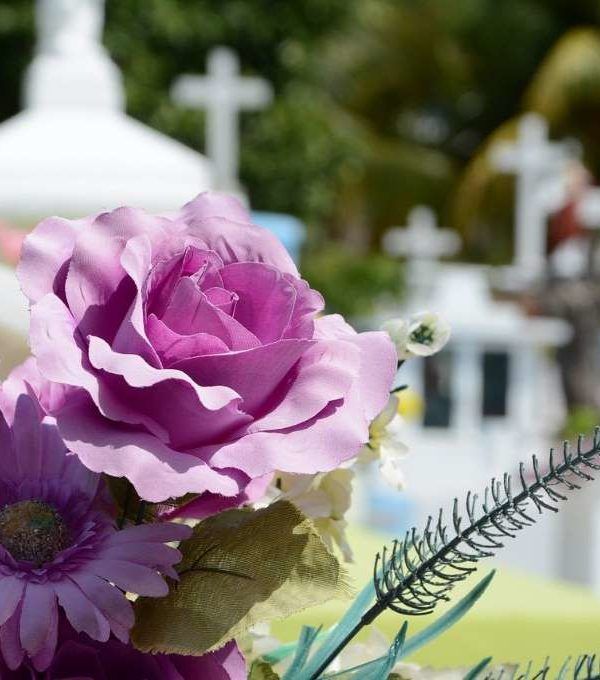 cementerio flores