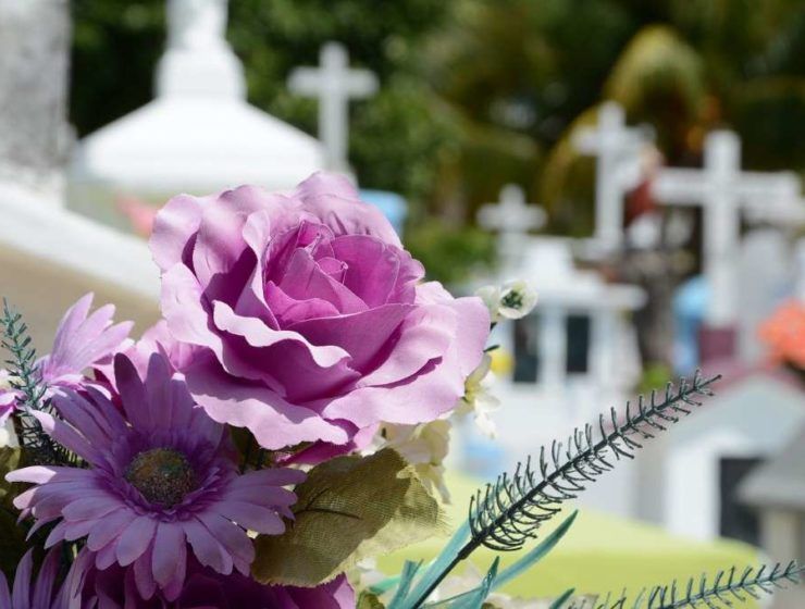 cementerio flores
