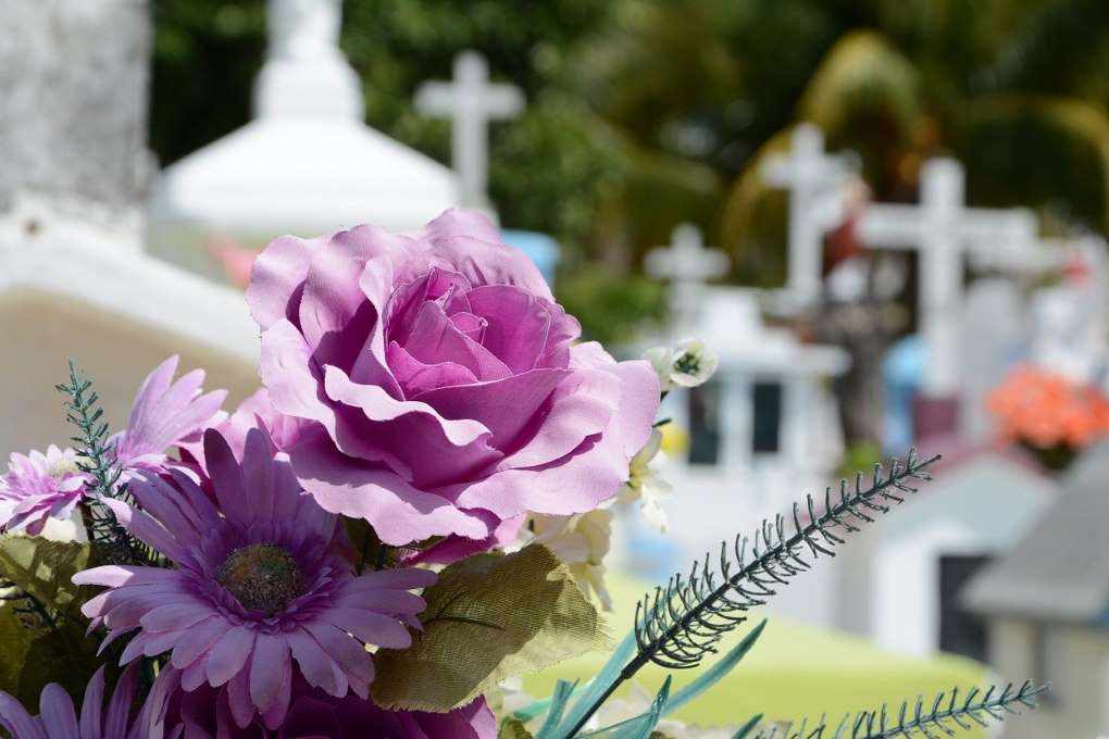 cementerio flores