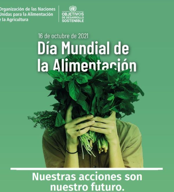 dia mundial alimentación
