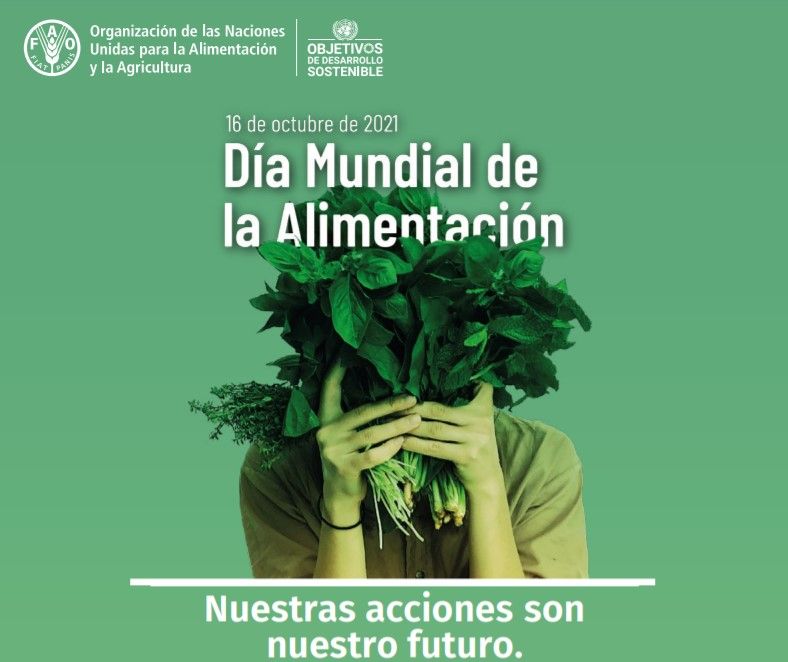 dia mundial alimentación