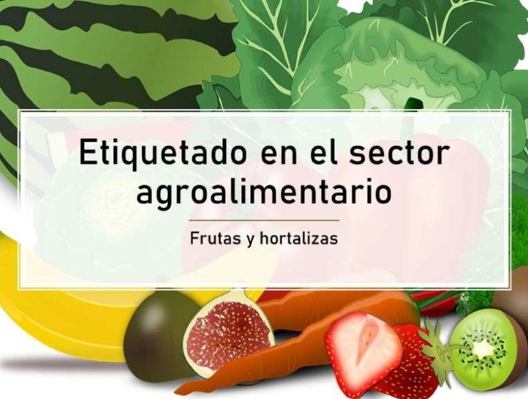 etiquetado