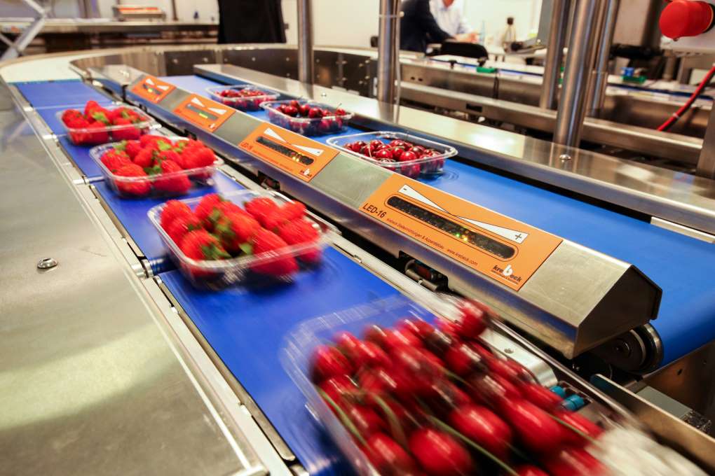 fruit logisitca