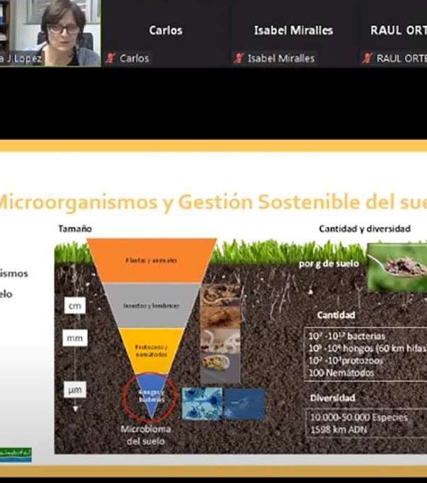 jornada ciaimbital