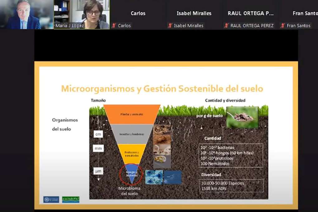 jornada ciaimbital