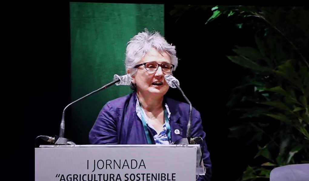 jornada primaflor