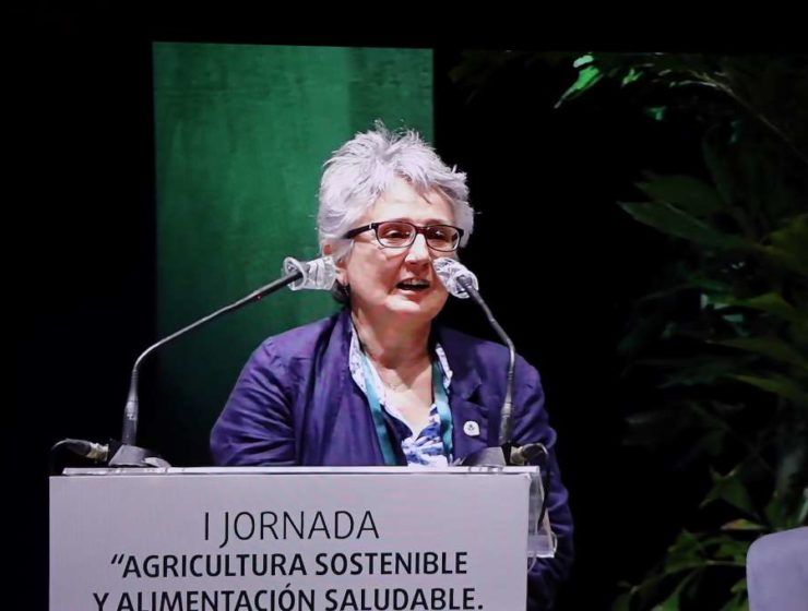 jornada primaflor