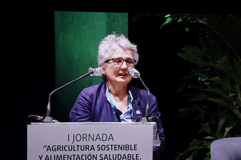 jornada primaflor