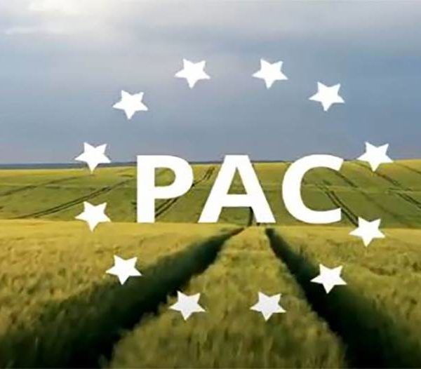 pac