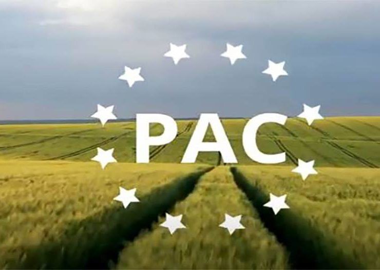 pac