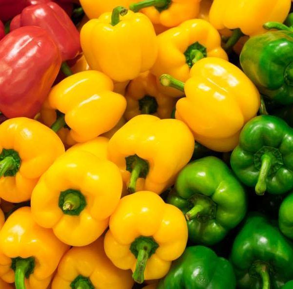 pimientos