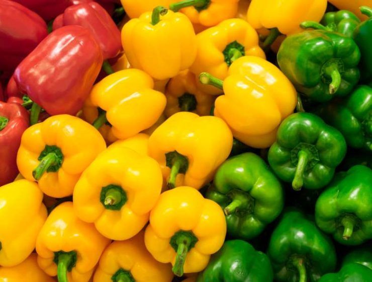 pimientos