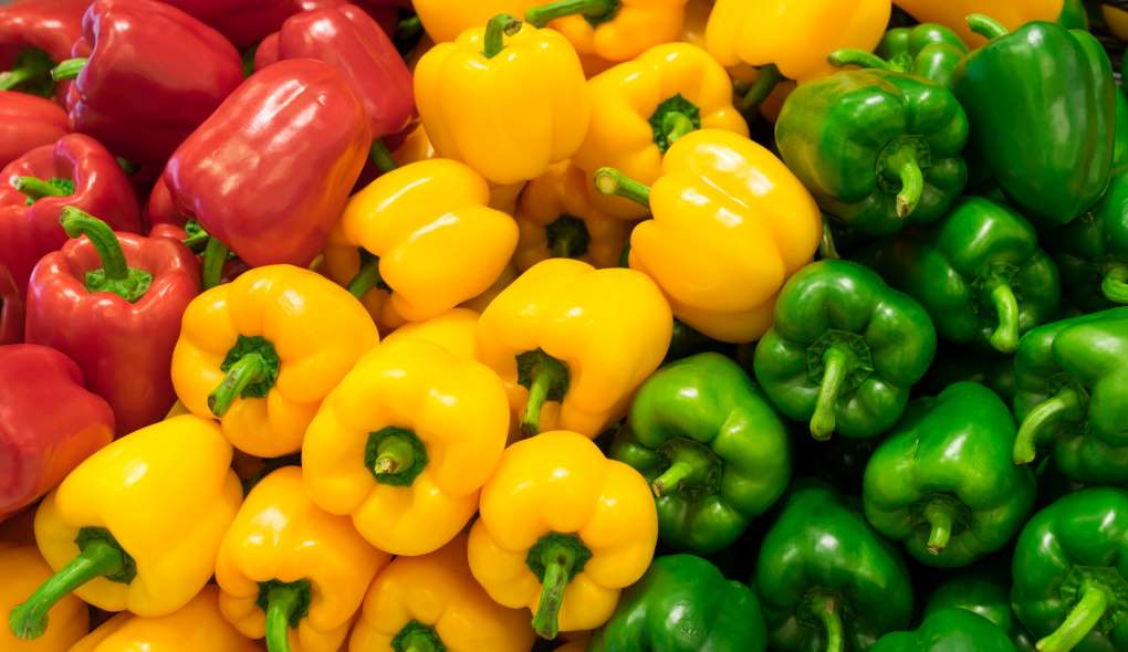 pimientos