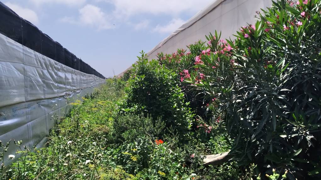 BIODIVERSIDAD