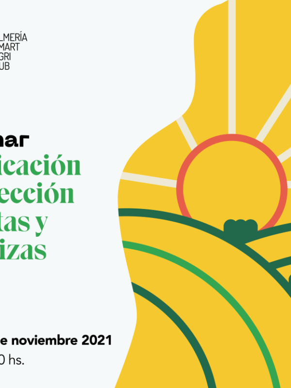 CLASIFICACIÓN DE FRUTAS ok