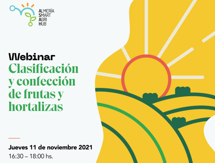 CLASIFICACIÓN DE FRUTAS ok