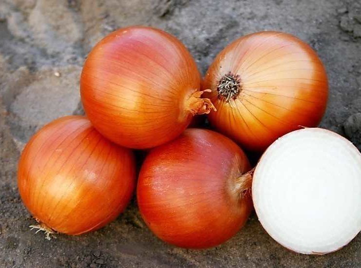 Cebolla