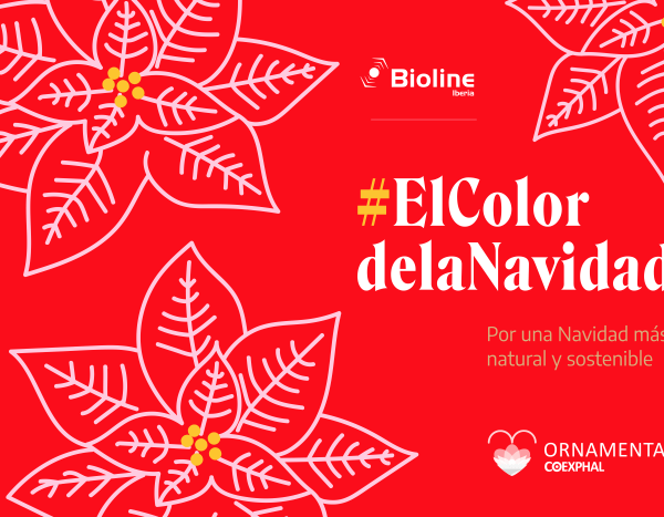 ElColordelaNavidad