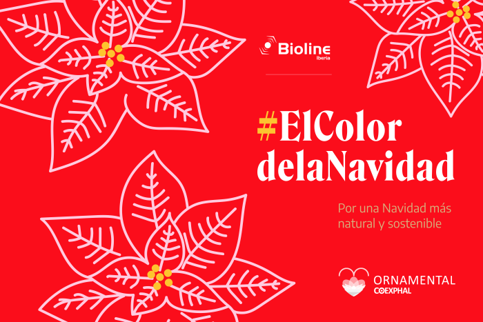 ElColordelaNavidad