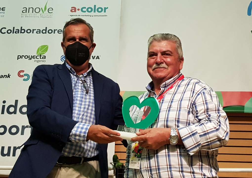 Jose Romera, VICASOL