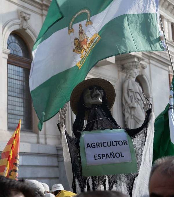 Manifestación Madrid 24n