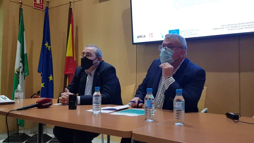 RUEDA DE PRENSA INVERSOLAR