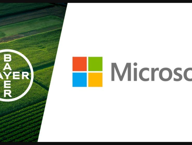 bayer microsoft